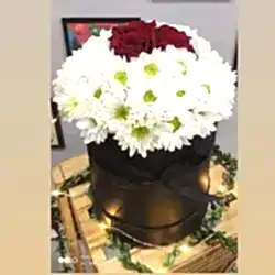 Kutuda 3 Gül ve Papatya