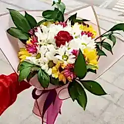 Tek gül ve karışık papatya