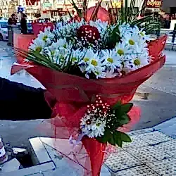 Tek Güllü Papatya Buketi