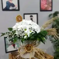 Seramik Vazoda Canlı Papatyalar